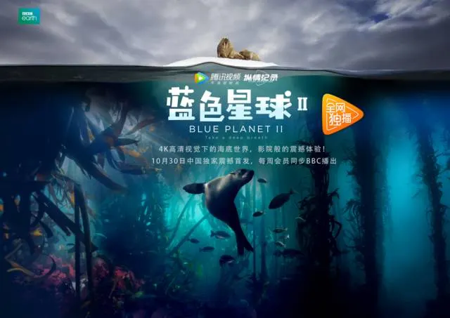 神奇宝贝超级愿望剧照1